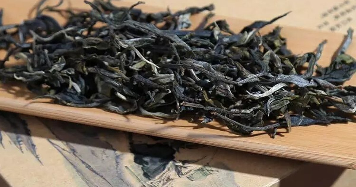 Puer Tea Brand Guide
