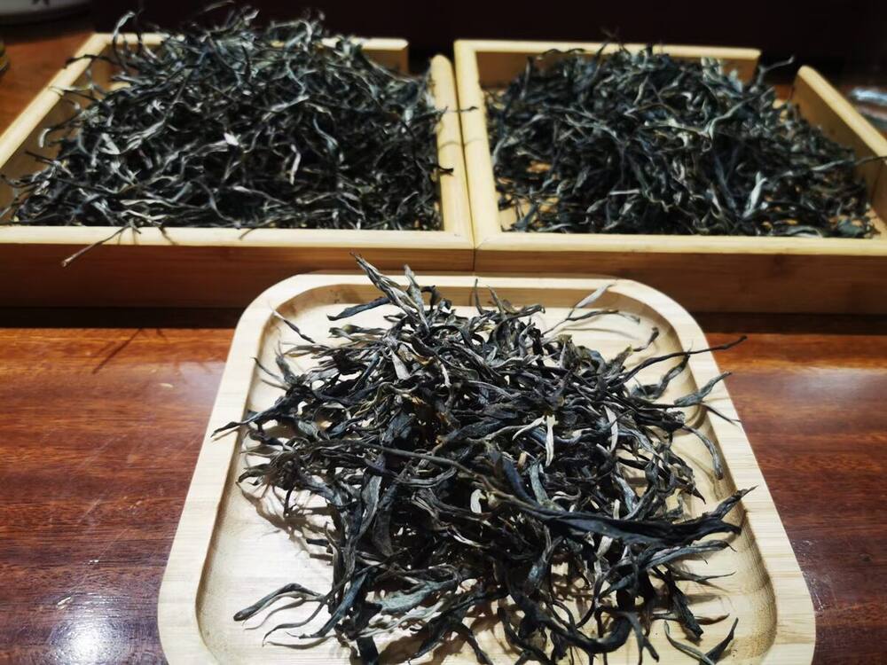 盛夏清热首选：3款生茶对比测评