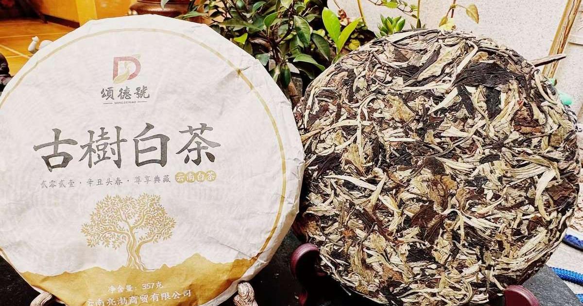 Yunnan White Tea vs Fuding White Tea