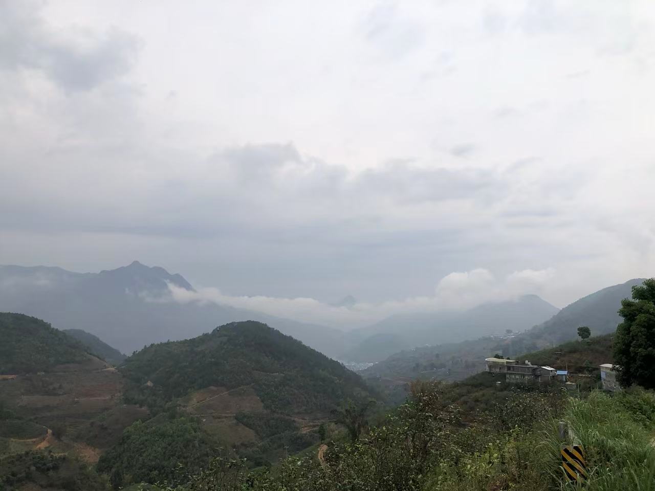 云南雨季的茶山长什么样