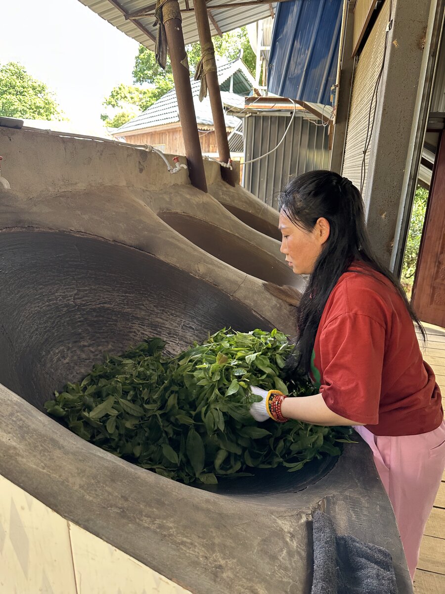 炒茶师手工炒茶