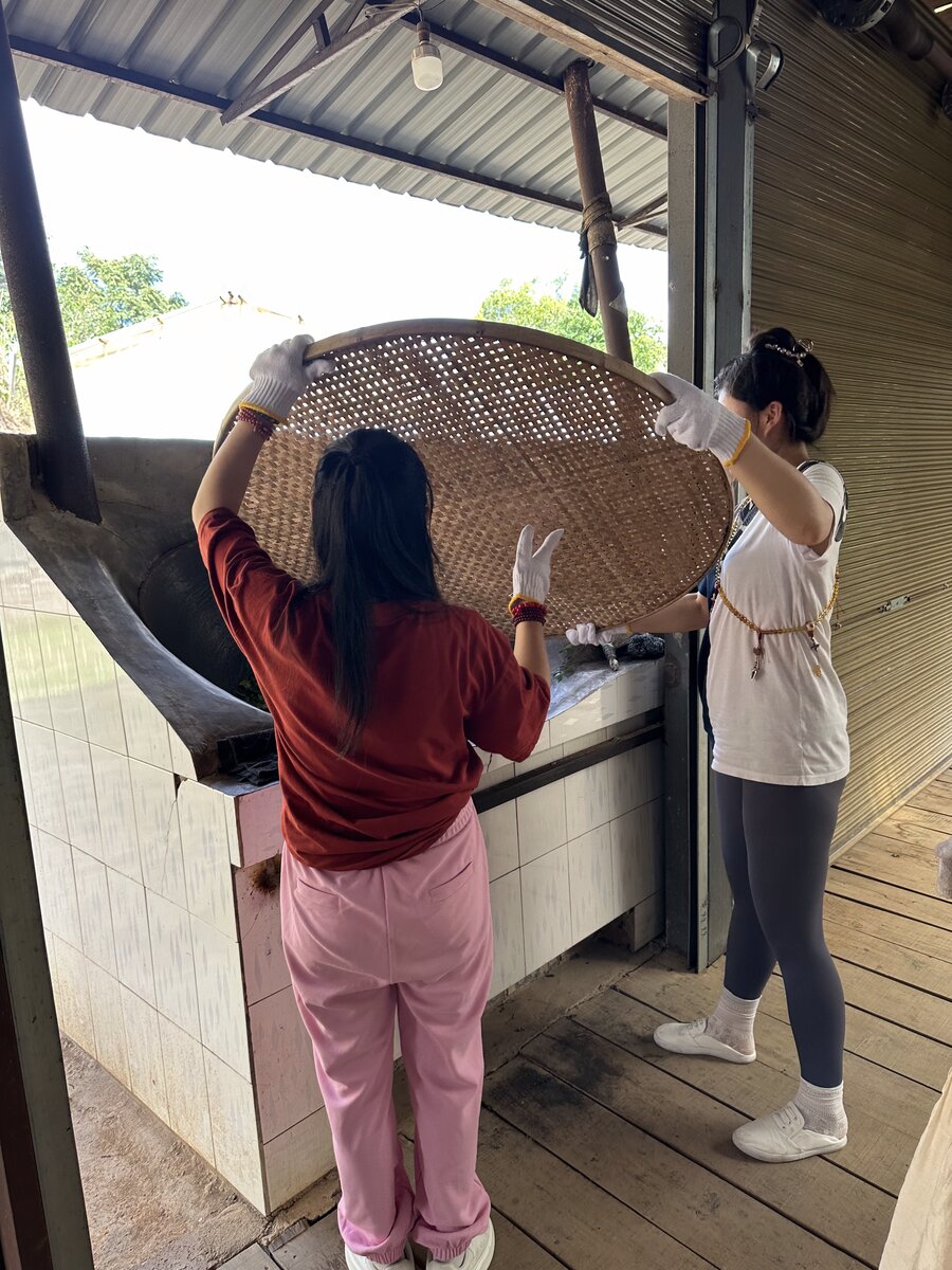 竹筛筛分