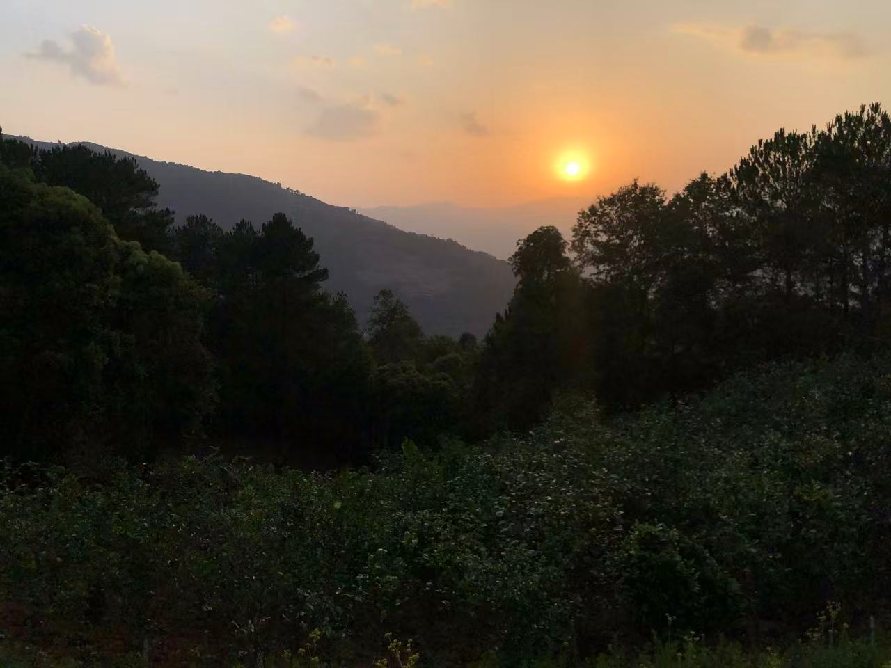云南茶山