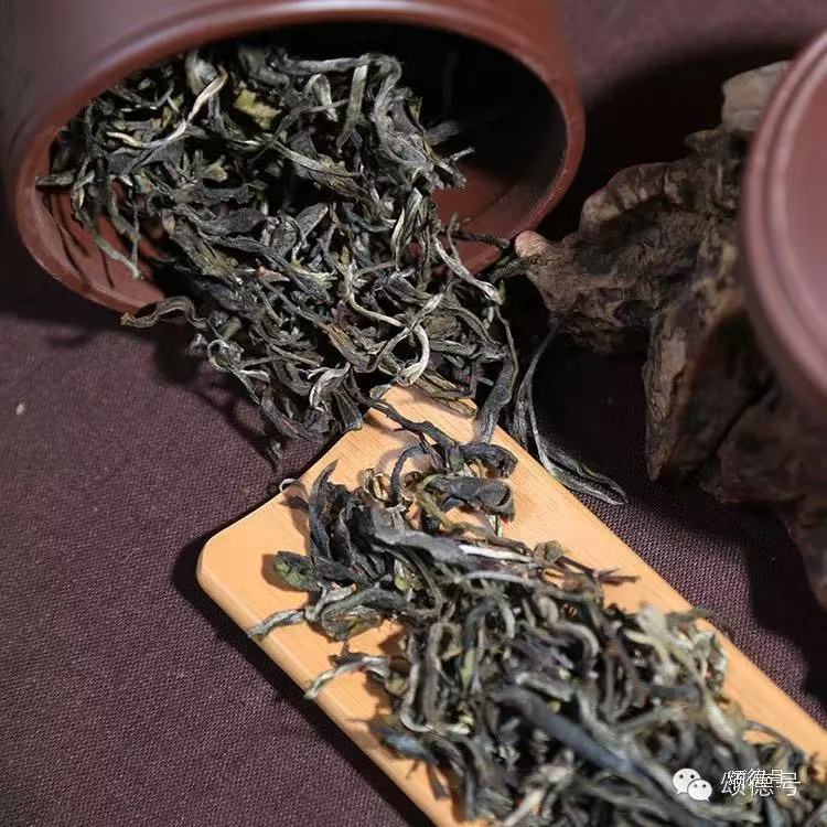忙肺水井头古树